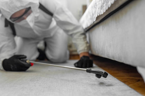 Professional Cockroach Control technician working in Royston, GA