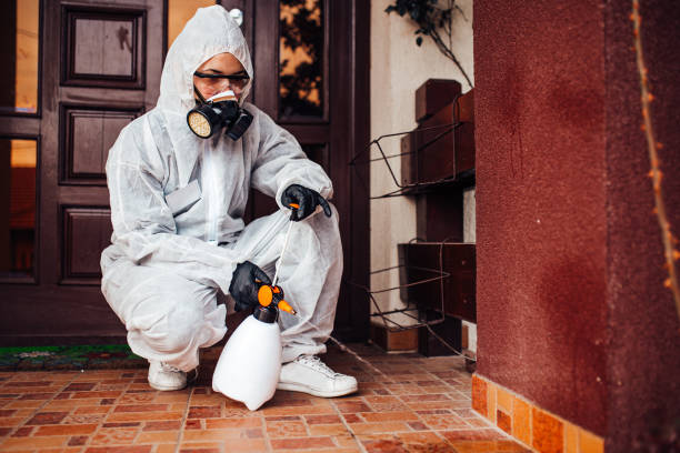 Reliable Cockroach Control contractor in Royston, GA by Nex Pest Control